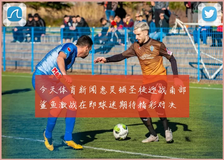 今天体育新闻惠灵顿圣徒迎战南部鲨鱼激战在即球迷期待精彩对决