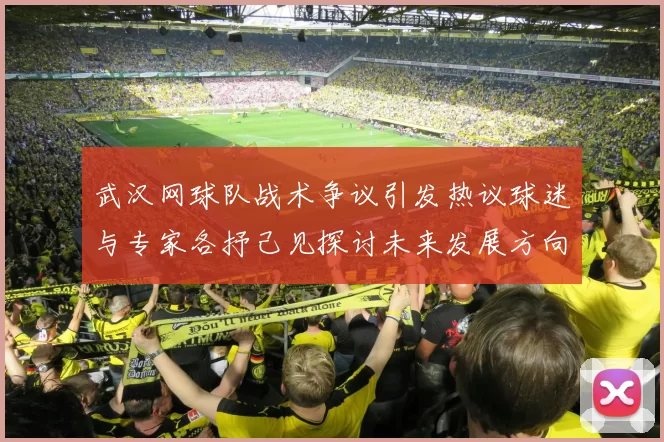 武汉网球队战术争议引发热议球迷与专家各抒己见探讨未来发展方向