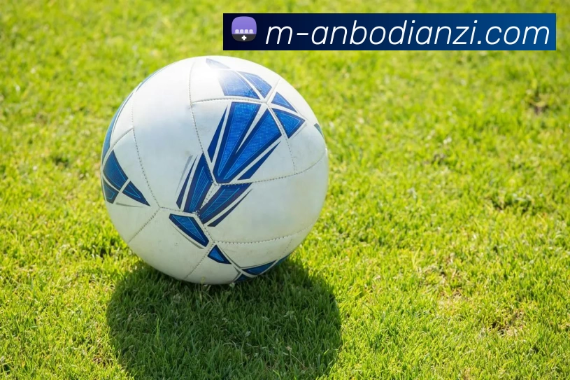 安博电子全站App